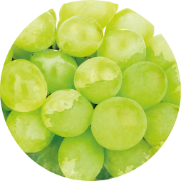 Uvas Brancas sem grainha Uvas Brancas sem grainha